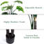 Arbres artificiels avec pot Monstera Deliciosa-405306185-405306188