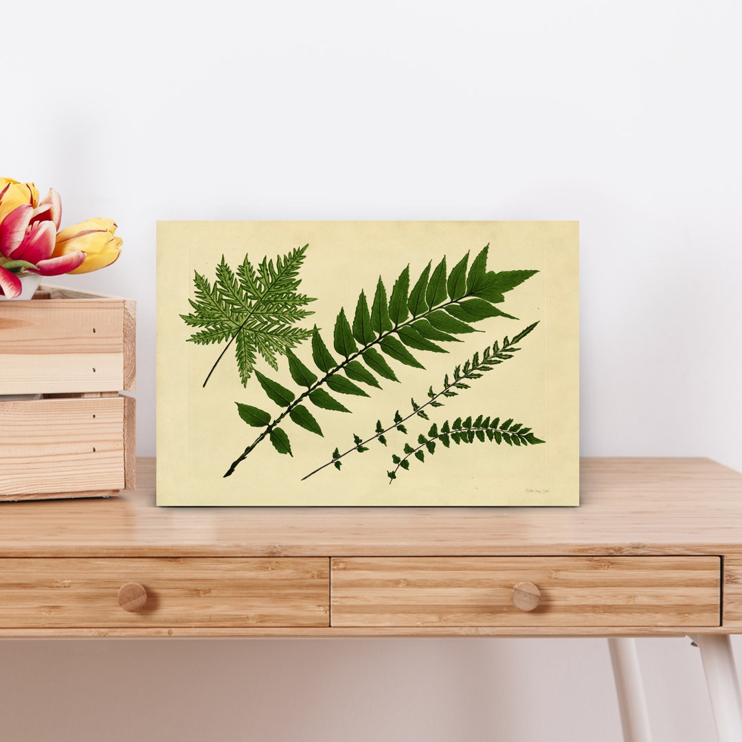 Antique Ferns 2 Abstract Contemporary Fern Landscape Nature Wall Art Print