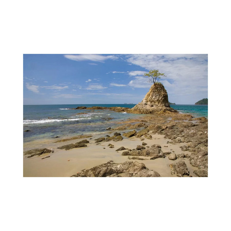 Point With Tree On Penca Beach, Costa Rica 1 Piece Wall Art on Canvas, 45.72cm H x 66.04cm W