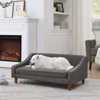 Canapé-lit surélevé durable et confortable avec accoudoirs irréguliers modernes, idéal pour la détente des chiens de taille moyenne et grande