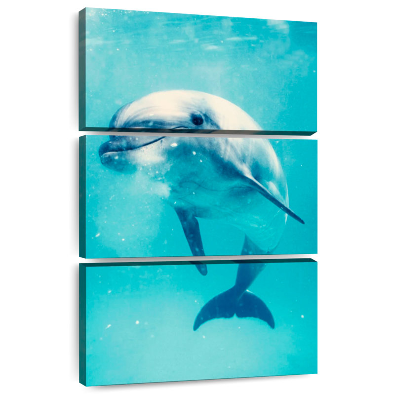 Brampt Bottlenose Dolphin Underwater, 57'' H x 36'' W