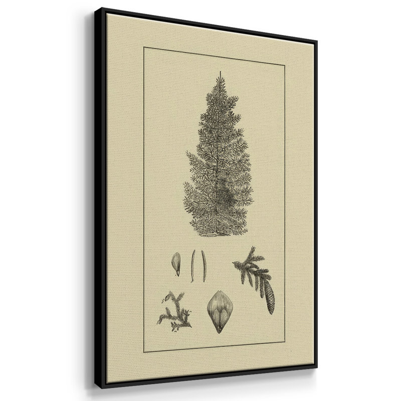 Arbor Study I, Noir, H 41 po x l 27 po x P 1,5 po