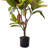 Artificial Croton Plant in Pot-1299411526