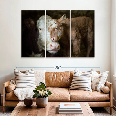 Bébé vache câlin Brampt