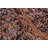 JeVon Wool Oriental Indoor Rug