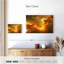 Avery Sunset Glow Abstract-108880954