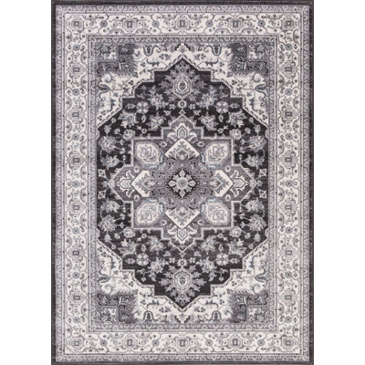Oriental Indoor Rug