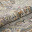 Oriental Area Rug-254309732