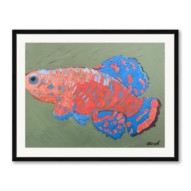 Bluefin Print by Sue Graef, Black Framed Paper, 24" H x 30" W
