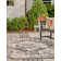 Susan Oriental Indoor / Outdoor Rug
