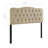 Modway Copper Grove Strathgartney Button-Tufted Upholstered Headboard-1708662904-1644791637