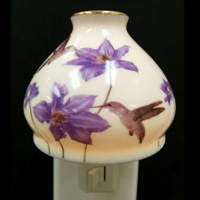 Veilleuse colibri et iris
