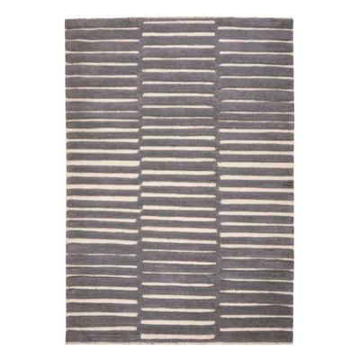 Photo Striped Hand Woven Area Rug