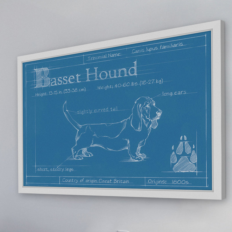 «Blueprint Basset Hound» par Ethan Harper, art mural sur toile, H 20 po x l 30 po x P 1,5 po, Papier avec cadre blanc