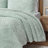Embroidered Medallion Ultra Plush Comforter Mini Set