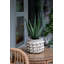 Ensemble de 2 pots à fleurs Mosley-1629223541