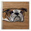  Tapis lavable Bulldog Dogs-888494254