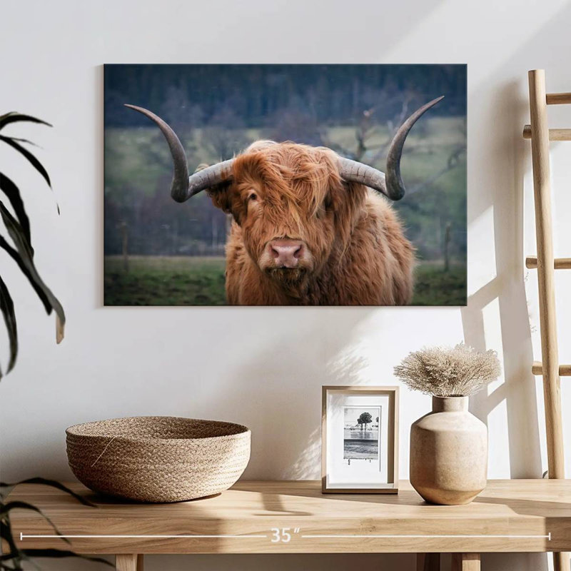 Brampt Wooly Highland Cow, H 16 po x l 24 po