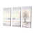 Toile tendue