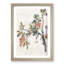 Floral Print by Chen Shizeng - Framed Print-55576461-55576460