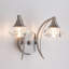 Rivale Stainless Steel Armed Sconce-1392526762