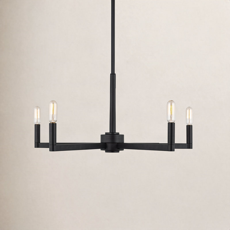 Ayansh Fullton Chandelier, Midnight Black, 10.5"H x 24"W x 24"D