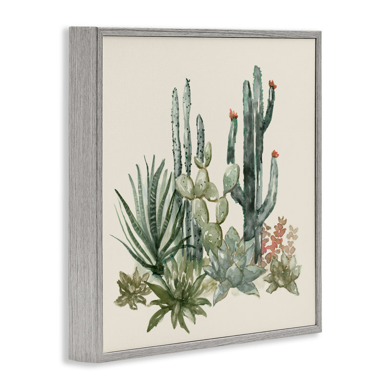 Mojave Green Succulents, giclée encadrée, design par Nan, H 12 po x l 12 po, Estampe numérique Farmhouse