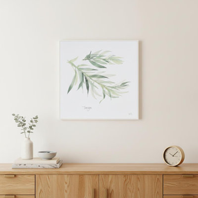 HomeRoots (Set of Four) Herbs, impression murale encadrée dorée