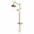 Unlacquered Polished Brass