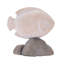 Poisson sur rocher (ensemble de 4)
