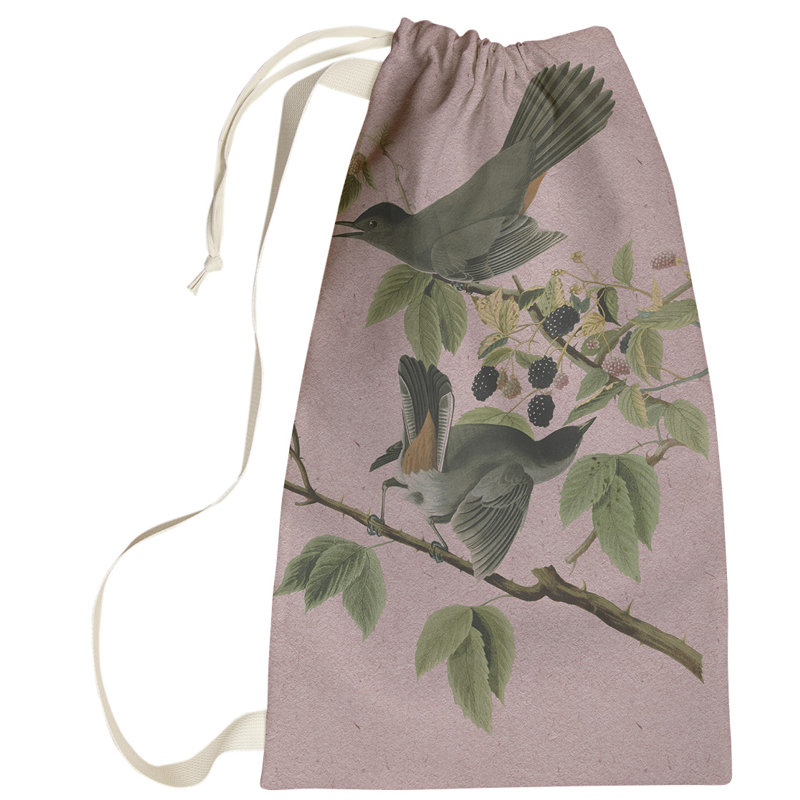 Sac à linge pour chat oiseau Maciejewski, Petit (H 64 po x l 20 po x P 1,5 po), Rose