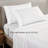 Leaf Embroidery Sheet Set-128786179-128786185
