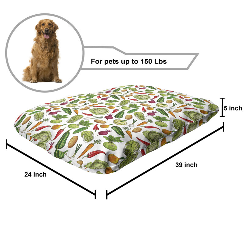 Multicolore, lit pour animal de compagnie Ambesonne