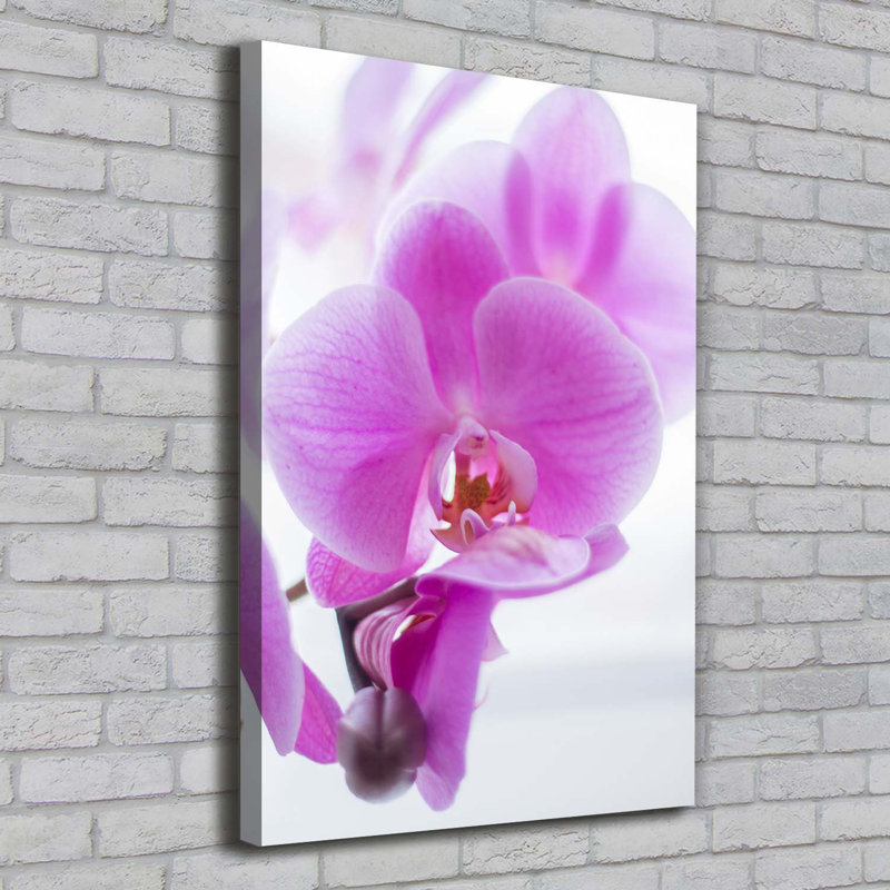 Pink Orchid - Wrapped Canvas Print