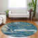  Machine Washable Indoor/Outdoor Chayden ACN1061 Rug