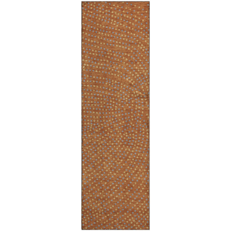 Tapis de qualité supérieure lavable à la machine Colmenero AMF1021, Tapis de couloir 2 pi 3 po x 7 pi 6 po