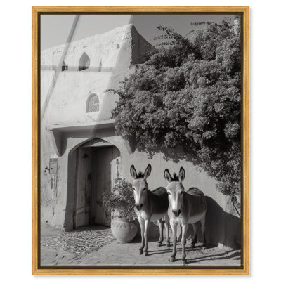 Morning Wait BW High-Gloss Frameless Acrylic Glass Wall Art Animals Print by Oliver Gal, Ready to Hang, 16 x 20