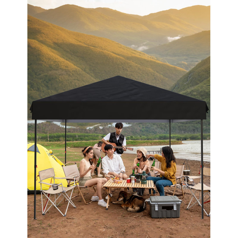 10x10 Pop Up Canopy Tent Outdoor Canopy with 4 Removable Sidewalls Heavy Duty Commercial Instant Tent Shelter (10x10FT/4 Side Walls)