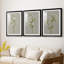 Fleurs blanches sur fond blanc I - reproduction sur mesure encadrée de qualité supérieure - 3 pièces-673045-673044