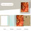 Cadres photo modernes - Cadres de présentation pour le mur ou la table | Décoration pour la maison et le bureau-1038422936-1038422937
