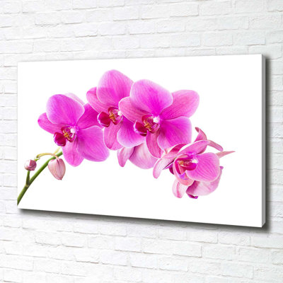 Pink Orchid - Wrapped Canvas Print