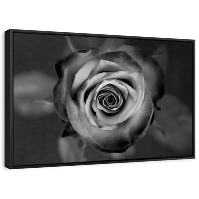 Floral et botanique «Black White Rose»