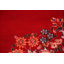 Tapis traditionnel rétro médaillon rouge 9 x 13