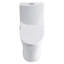 Toilette allongée une pièce moderne avec surface entièrement vitrée Ariel, 1 / 1,6 siphon à double chasse 1000G, hauteur de fauteuil confortable de 17,3 po, certifié cUPC, certifié WaterSense et CEC, blanc brillant-121394405