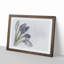 Grape Hyacinth Flower in Abstract - Picture Frame Graphic Art Print-55735462-55735467