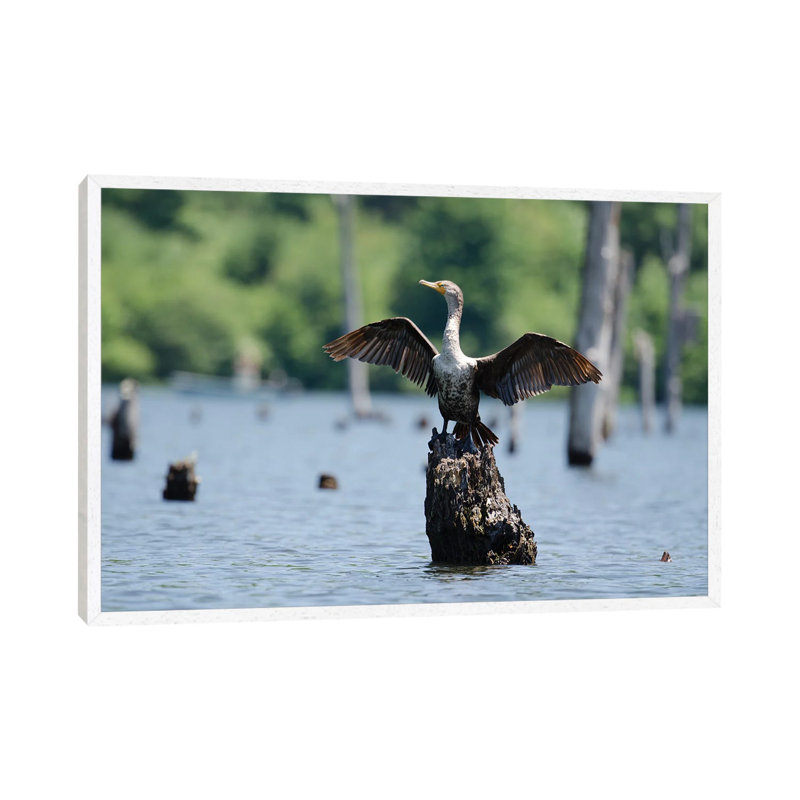 Airing It Out by David Gardiner - Wrapped Canvas Print, White Framed, 66.04 cm H x 45.72 cm W