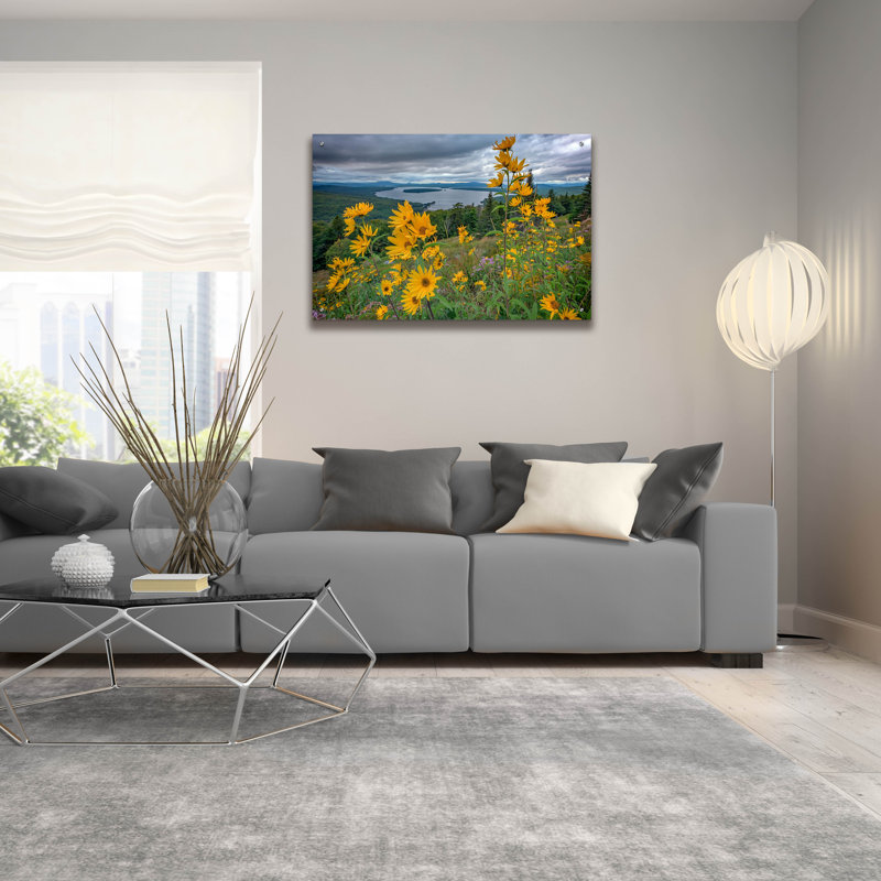 Art mural en verre Latitude Run® «Sunchokes At Hauteur Of Land» par Rick Berk, H 24 po x l 36 po x P 0,2 po