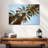 Harnek Under The Date Palm Trees-108842726