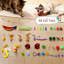 Niche pour chat avec 40 jouets