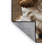 Washable Clumber Spaniel Dogs Area Rug-1847474937